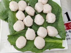 -源港渔村-中山脆肉鲩(博罗店)