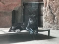 -鄂尔多斯野生动物园