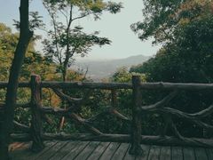-大屏嶂森林公园