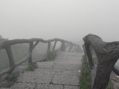 -梧桐山风景名胜区