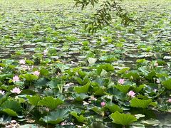 -黄河小浪底水利枢纽风景区