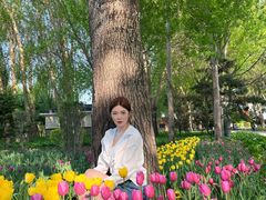 -长春公园(普阳街道)