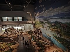 -自贡恐龙博物馆