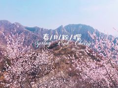 -大岭沟猕猴桃谷风景区