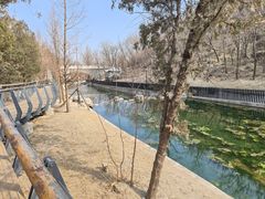 -白水寺森林公园