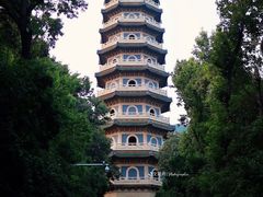 -灵谷景区