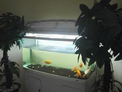 -健合堂中医养生·经络调理(天通苑旗舰店)