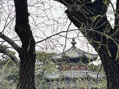 -颐和园