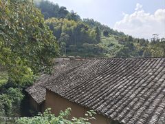 -杨家堂村