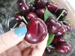 -鲜力达果品批发直销(青山店)