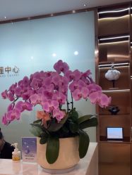 -杭州米兰柏羽医疗美容医院