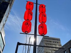 -友谊肥牛