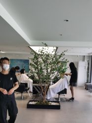 -付军剪艺JF ProSalon