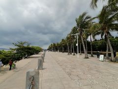 -深圳湾公园(南山区)