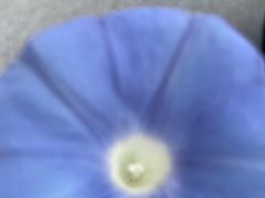 -萃和楼海鲜酒店(汉口路店)