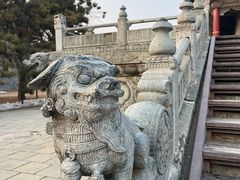 -北陵公园
