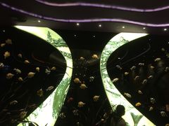 -厦门泰谷酒店(中山路镇海路地铁站店)