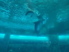 -波塞冬旅游度假区