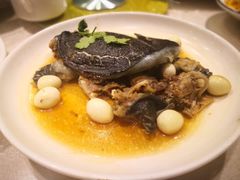 -天福苑(崇宁路店)