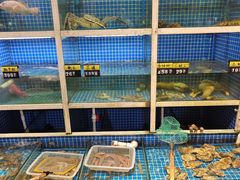 -金龙·打边炉(南京西路店)