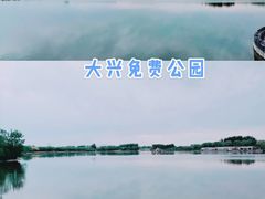 -大兴滨河森林公园