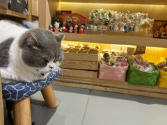 -解忧集市(北京路天河城店)
