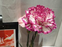-将相和·海鲜蒸饺大连菜·连鹭海鲜姊妹店