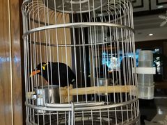 -杭州香格里拉饭店