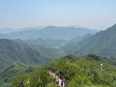 -大岭沟猕猴桃谷风景区