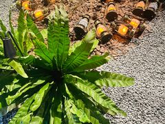 -J Create城市露营咖啡·简餐·宠物(上海动物园店)