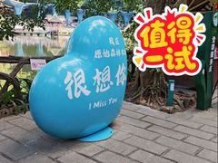 -西双版纳原始森林公园