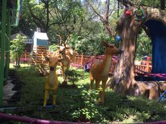 -晓港公园