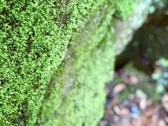 -宁波五龙潭景区