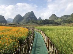 -靖西鹅泉风景区