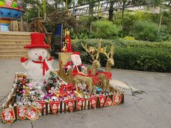 -南宫五洲植物乐园