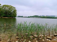 -大兴滨河森林公园