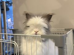 -小意思咖啡店(草桥店)