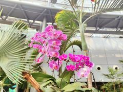 -北京植物园-展览温室