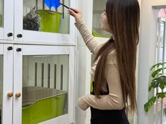 -青奢宠物·青奢猫舍