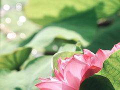 -黄兴公园