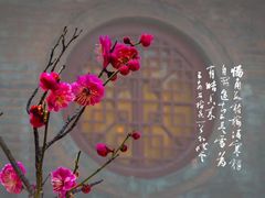 -浮山香苑