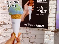 燕麦地球-Dal Cuore 达可芮冰淇淋(陕西北路店)