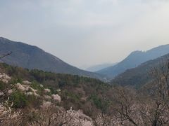 -妙峰山风景名胜区