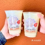 春天到来山茶花开🍃好配辣辣的火锅串串‼️