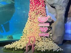 -福州罗源湾海洋世界旅游区