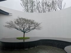 -少华山国家森林公园