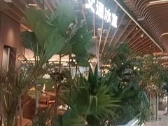 -瑞虹新天地月亮湾