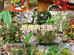 -双季花艺园艺市场(浦东店)