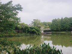 -巡塘古镇