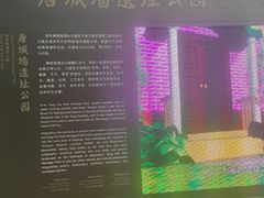 -唐城墙遗址公园